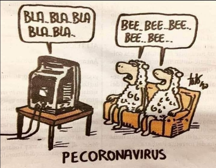 Pecoronavirus, drawing by Tatona
